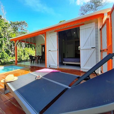 Caraibes Cottages Corail Piscine Privee A 900M De La Plage De Grande Anse 데샤이에스 외부 사진