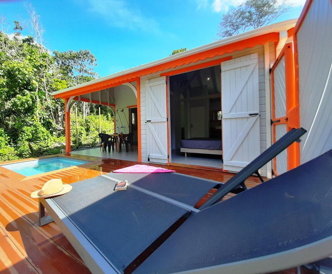 Caraibes Cottages Corail Piscine Privee A 900M De La Plage De Grande Anse 데샤이에스 외부 사진