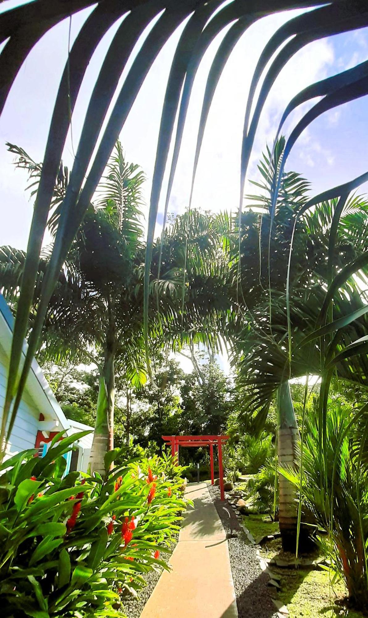 Caraibes Cottages Corail Piscine Privee A 900M De La Plage De Grande Anse 데샤이에스 외부 사진