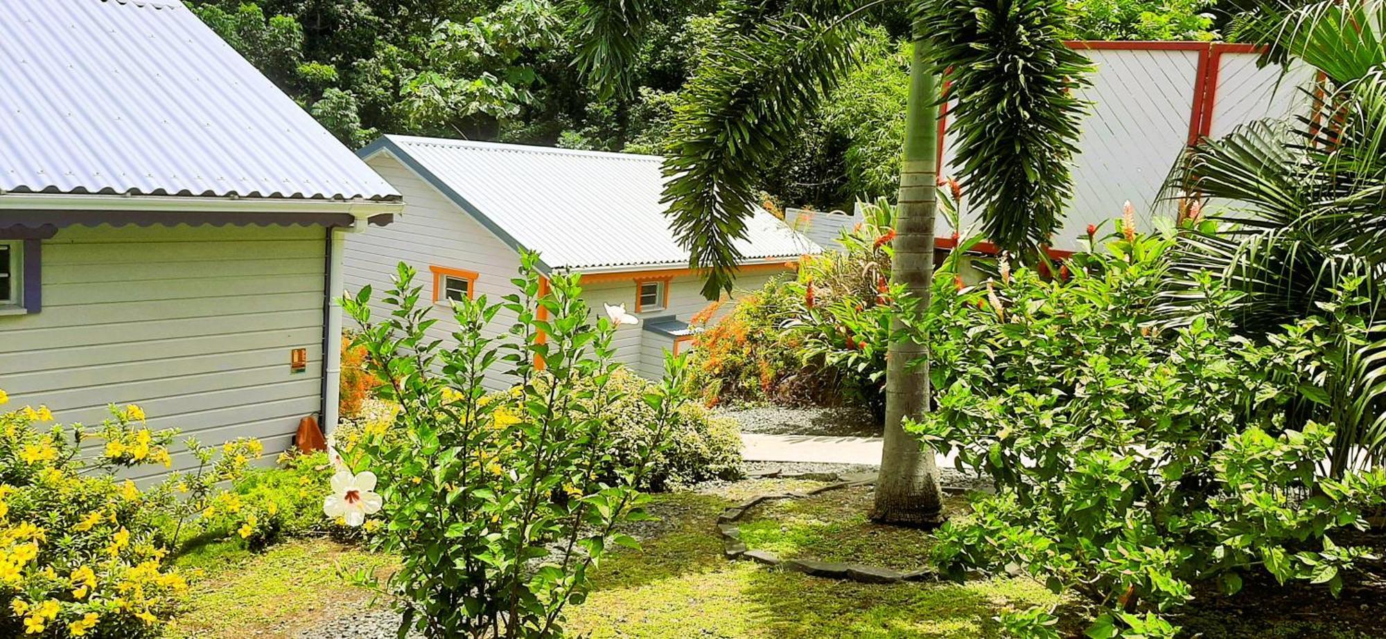 Caraibes Cottages Corail Piscine Privee A 900M De La Plage De Grande Anse 데샤이에스 외부 사진