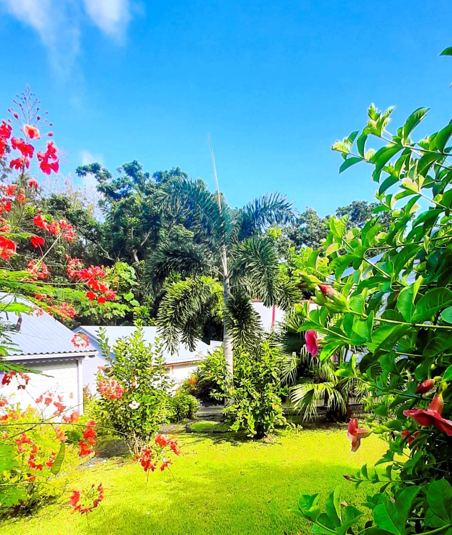 Caraibes Cottages Corail Piscine Privee A 900M De La Plage De Grande Anse 데샤이에스 외부 사진